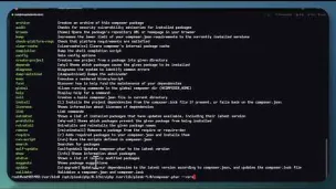Preview image for the video "3 - Drupal CMS auf Plesk installieren - Composer aktualisieren".